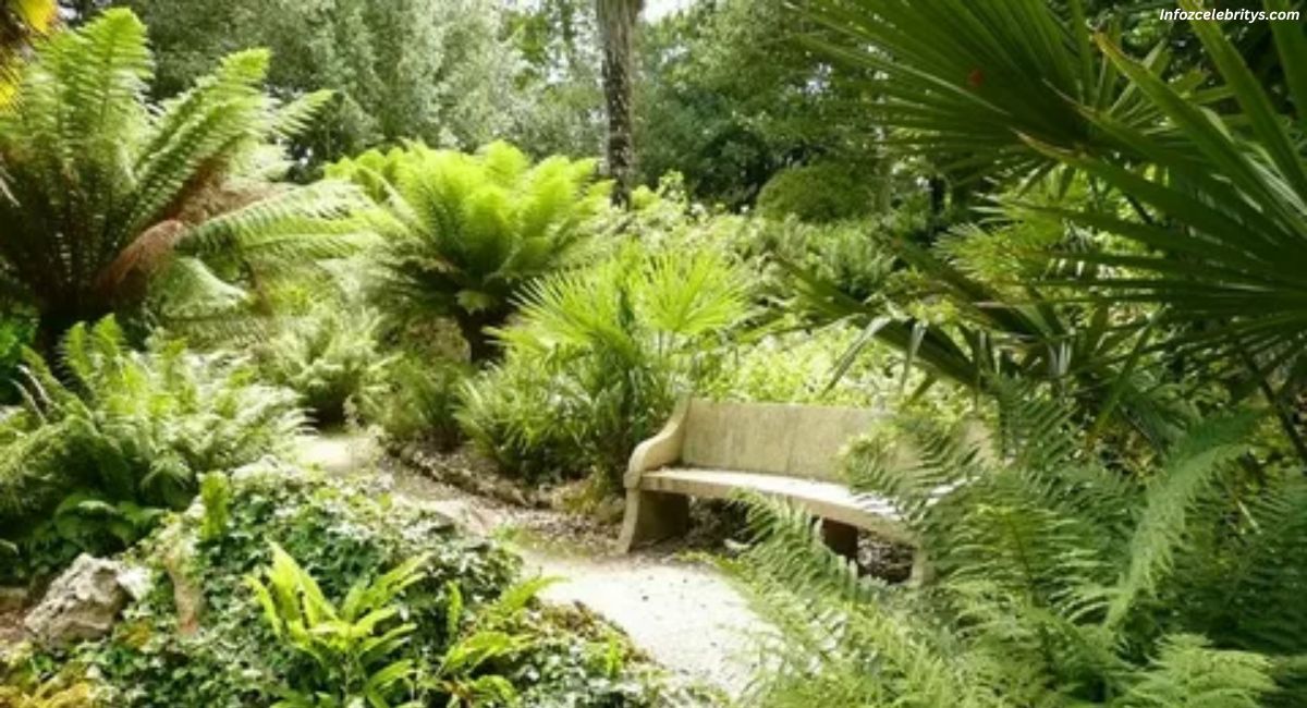 Best Tropical Palms and Ferns for Warm Climates: A Complete Grower's Guide