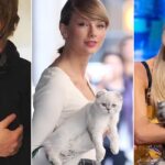 What You Didn't Know About Celebrities Who Own Rare Cat Breeds Like the Scottish Fold